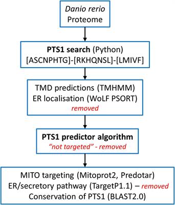 Insights Into the Peroxisomal Protein Inventory of Zebrafish